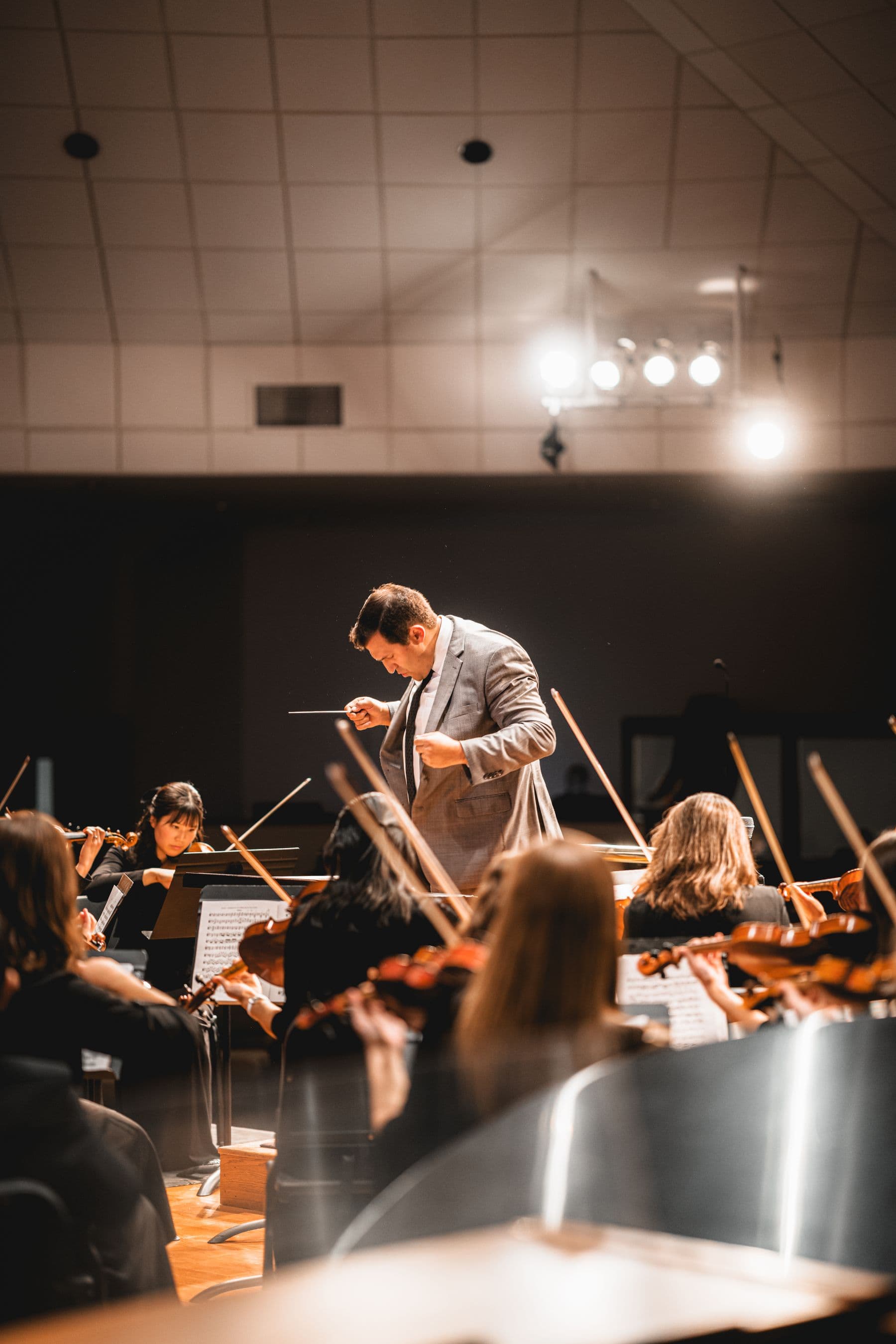 Orchestra in concert